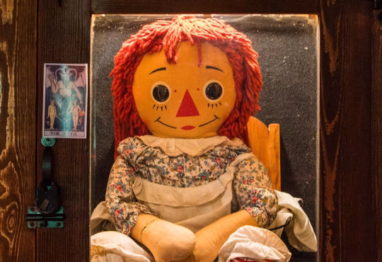 Image of the Annabelle doll displayed in the Warren Occult Museum, representing the real-life haunted object from the Annabelle doll true story