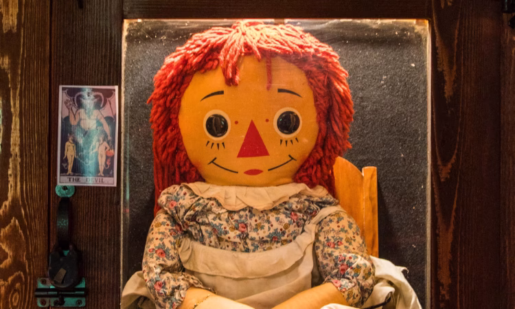 Image of the Annabelle doll displayed in the Warren Occult Museum, representing the real-life haunted object from the Annabelle doll true story