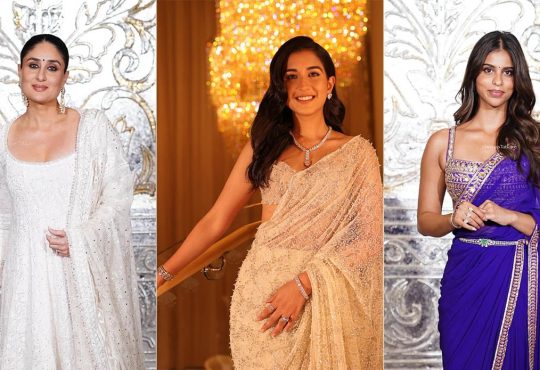 Bollywood 2025 award season red carpet with stars and performances