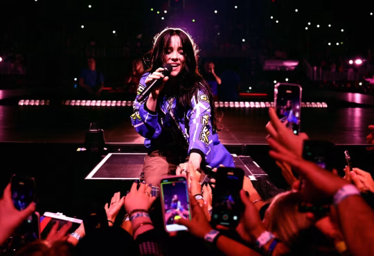 Billie Eilish pulled into crowd by fan at Miami concert, security intervenes