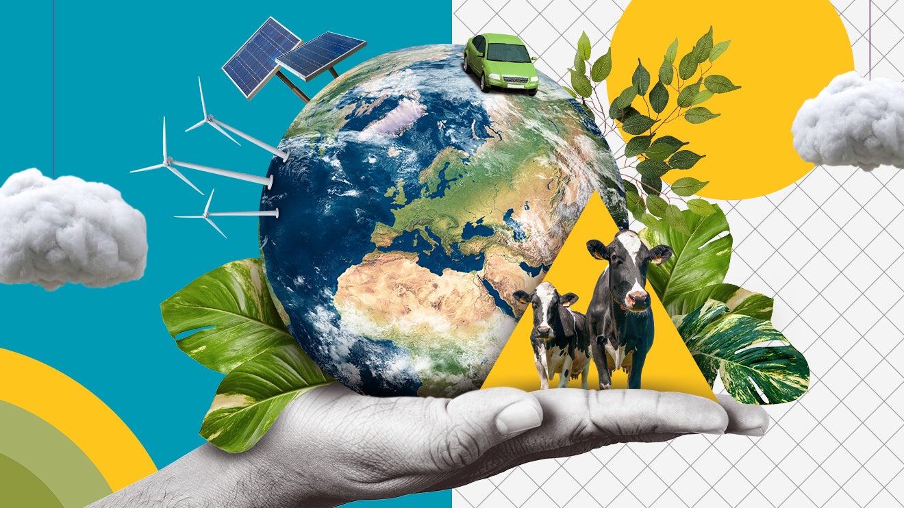 Global news coverage highlighting environmental sustainability and climate action