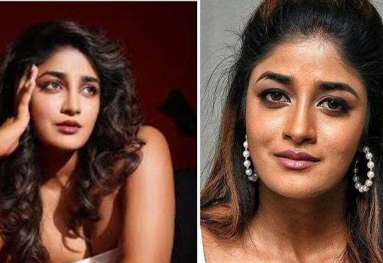 Actress Dimple Hayathi and husband Victor David booked by Hyderabad police over domestic help complaint