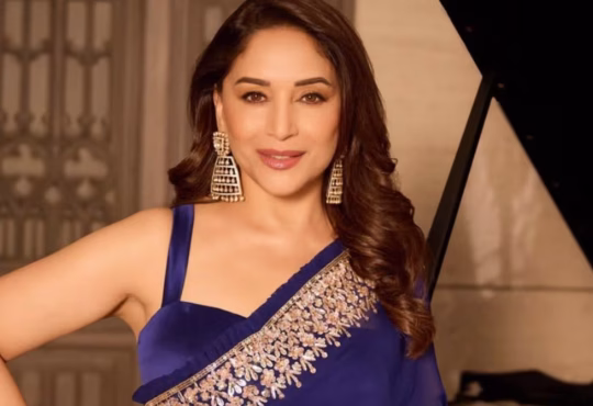 Madhuri Dixit performing on stage during Toronto tour facing fan backlash