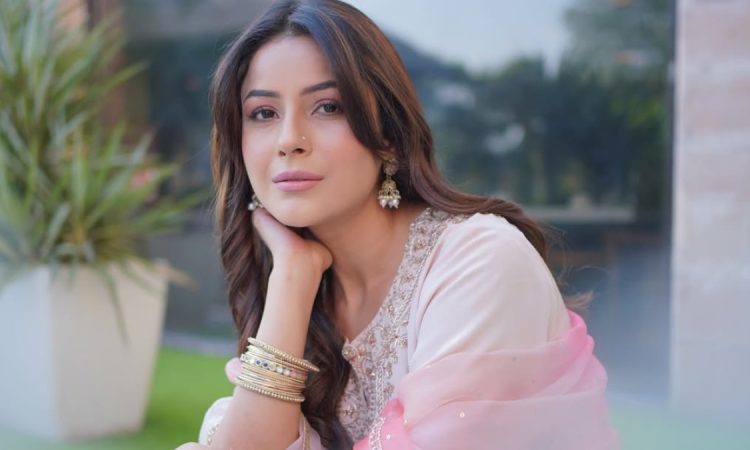 Shehnaaz Gill promoting Ikk Kudi with box office collection update showing ₹33 lakh on Day 5