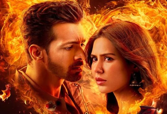 Harshvardhan Rane in Ek Deewane Ki Deewaniyat celebrating box office success