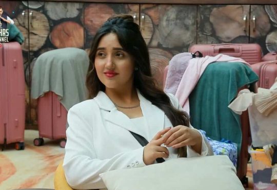 Bigg Boss 19 contestants at risk of eviction – bottom 3 voting trend