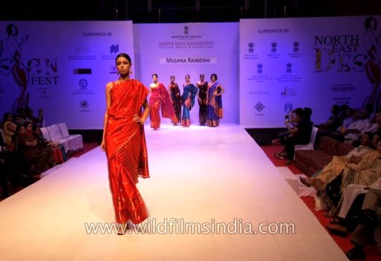 Assamese model posing in traditional mekhela sador during exclusive interview