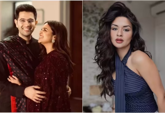 Bollywood stars celebrating big announcements in 2025